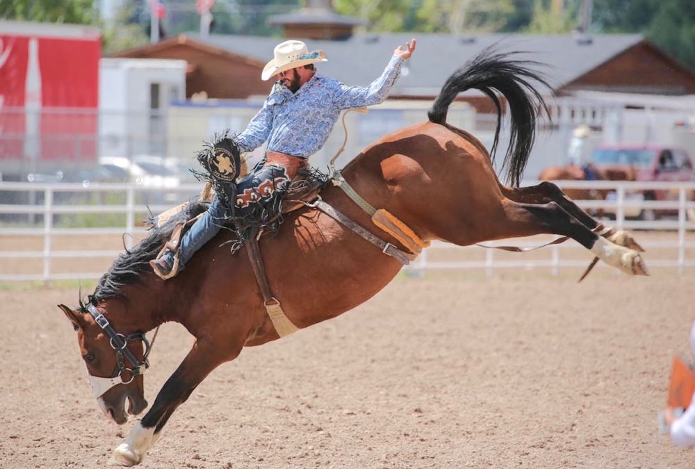 The Rodeo: Saddle Bronc Riding
