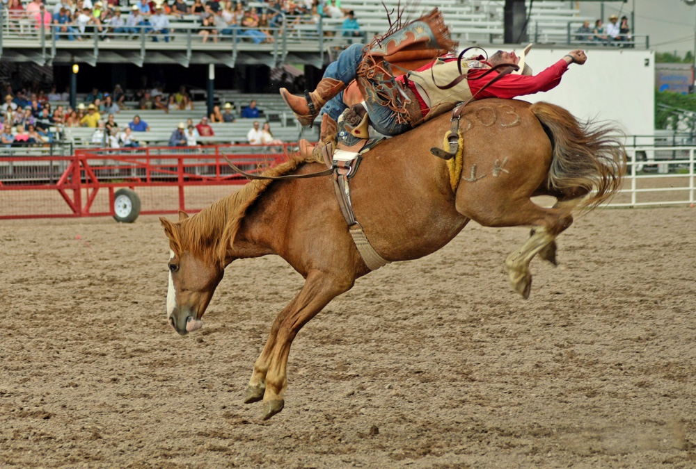 The Rodeo: Bareback Riding