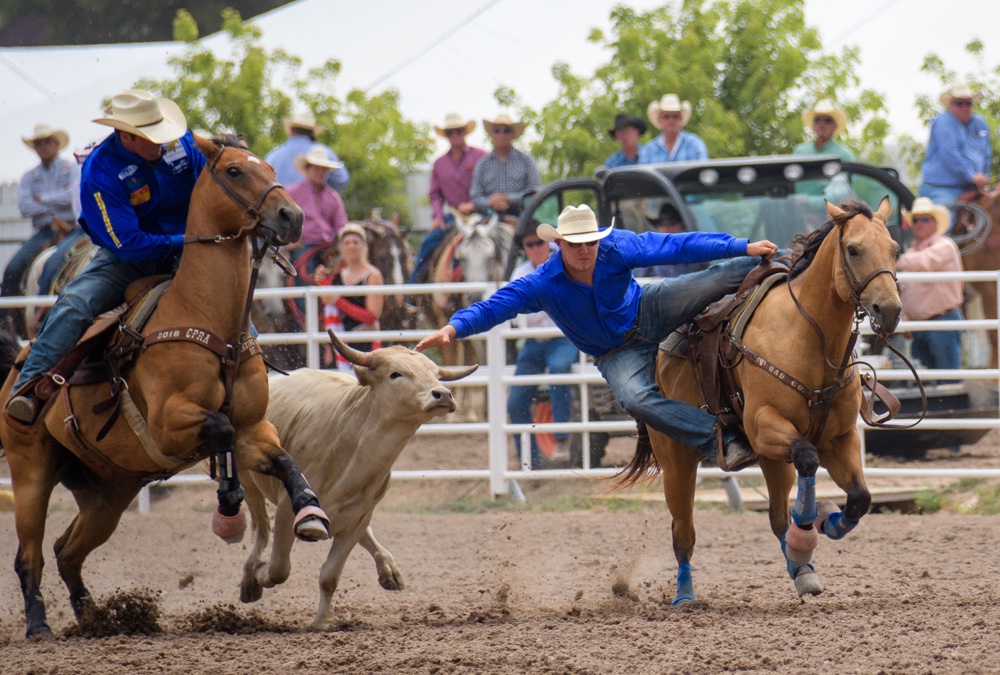 The Rodeo: Steer Wrestling