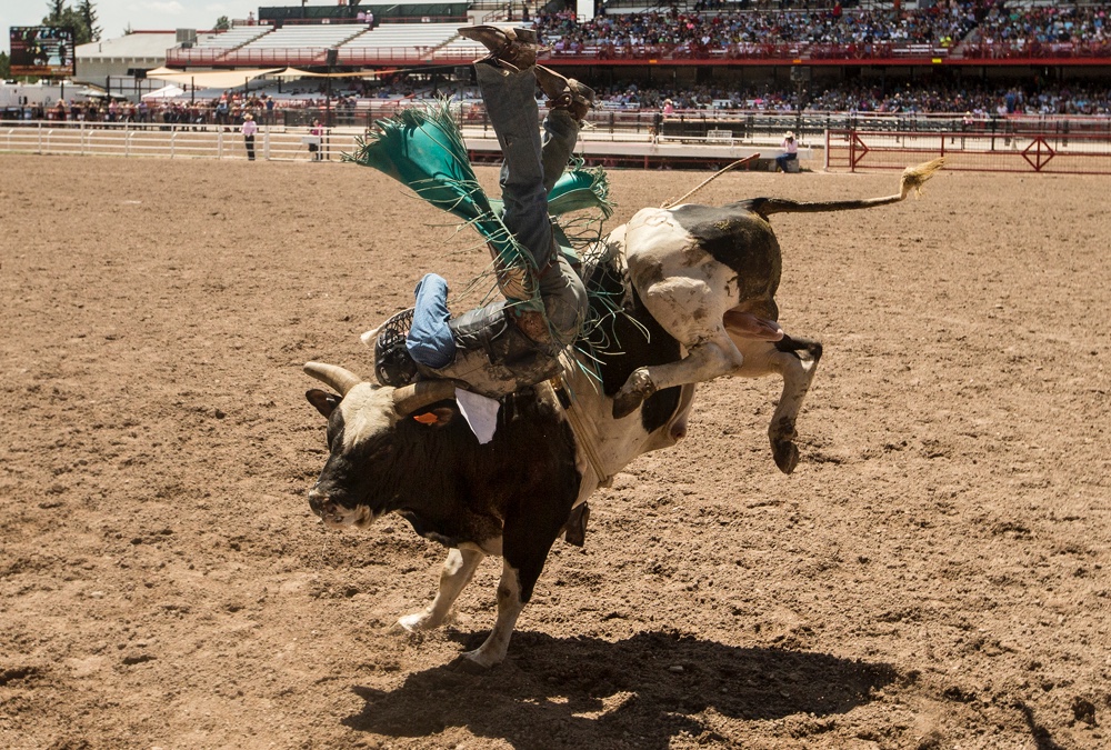 The Rodeo: Bull Riding