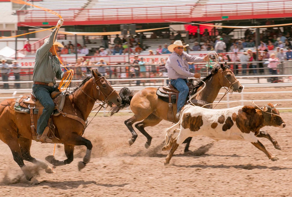The Rodeo: Team Roping