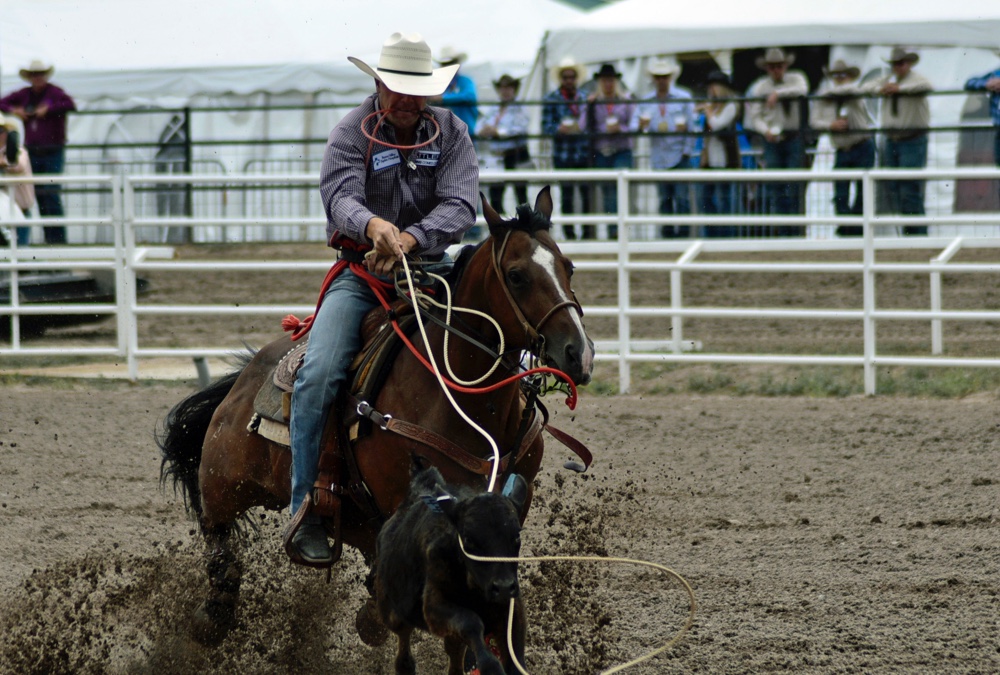 The Rodeo: Tie Down Roping