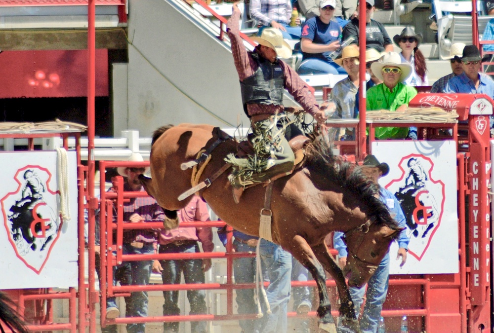 The Rodeo: Saddle Bronc Riding