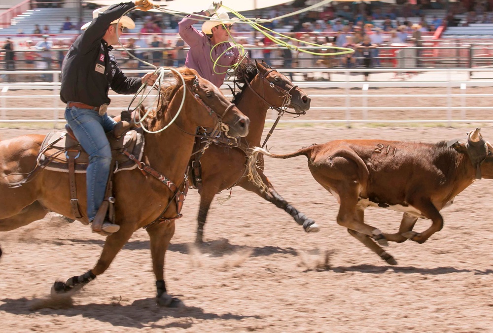 The Rodeo: Team Roping