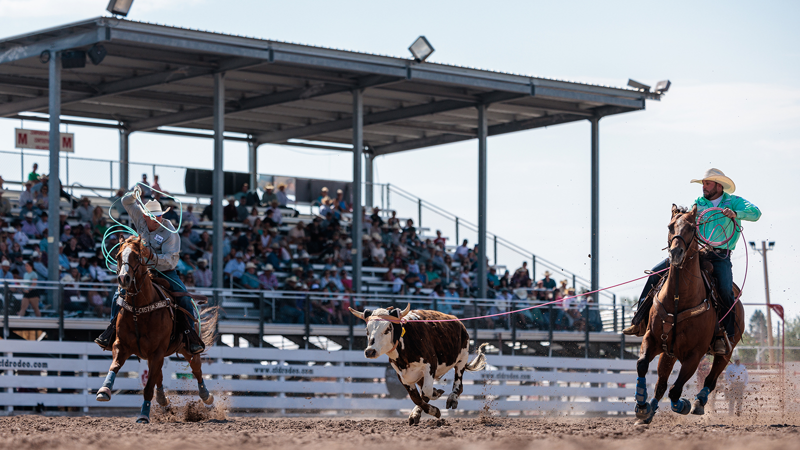 The Rodeo: Team Roping