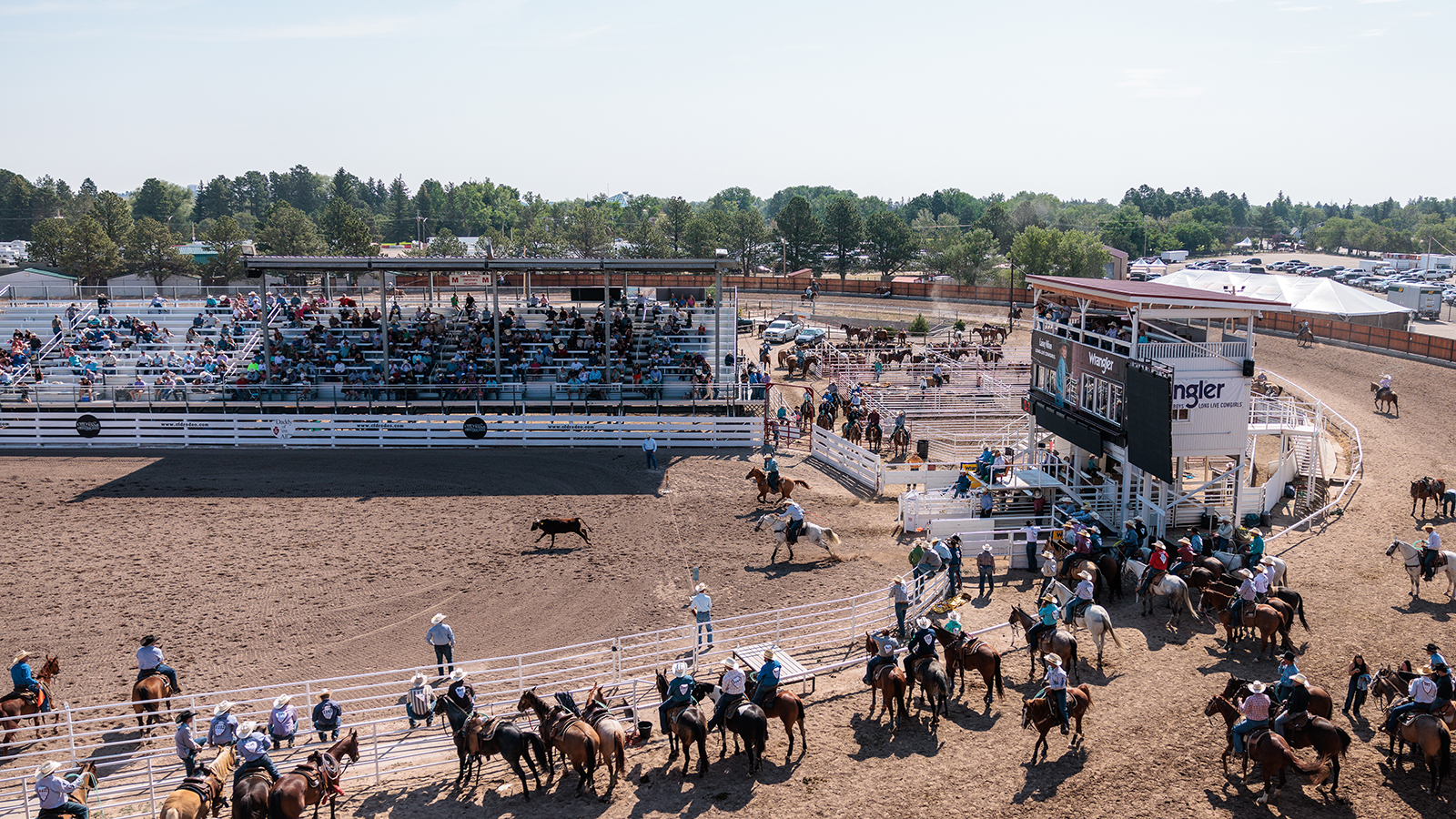 The Rodeo: Team Roping