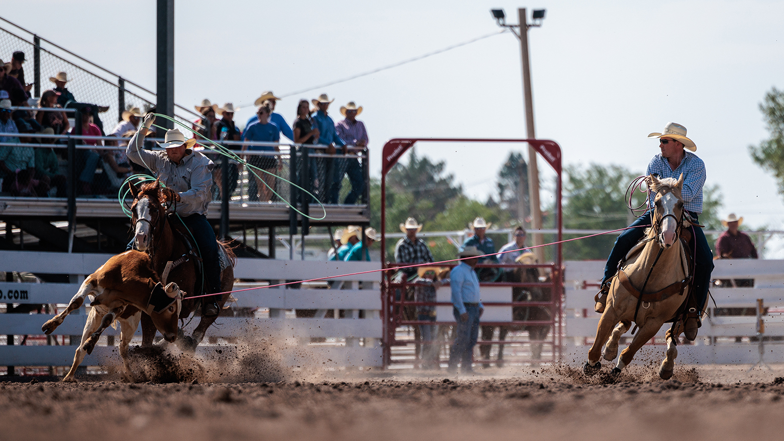 The Rodeo: Team Roping