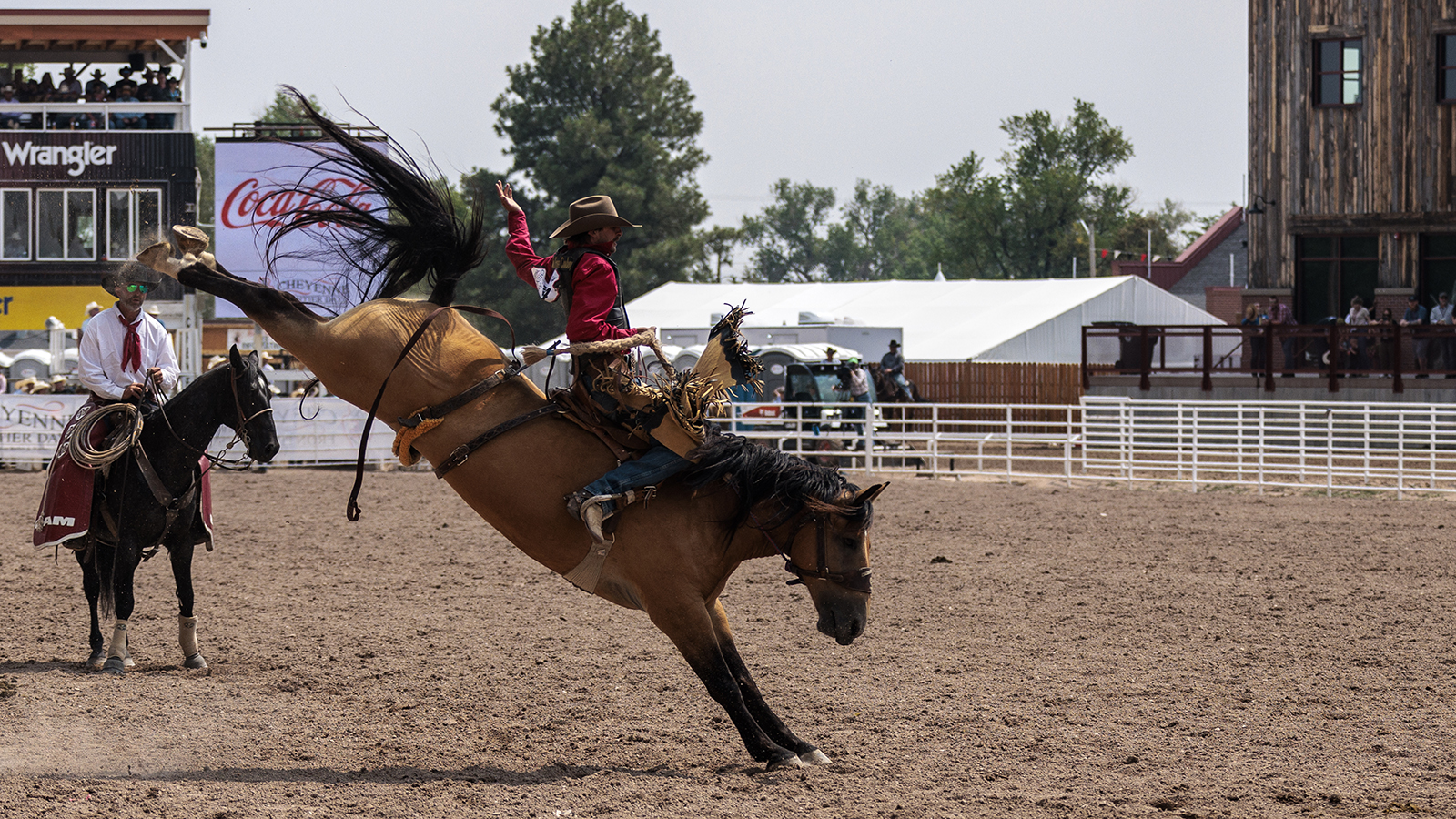 The Rodeo: Saddle Bronc Riding