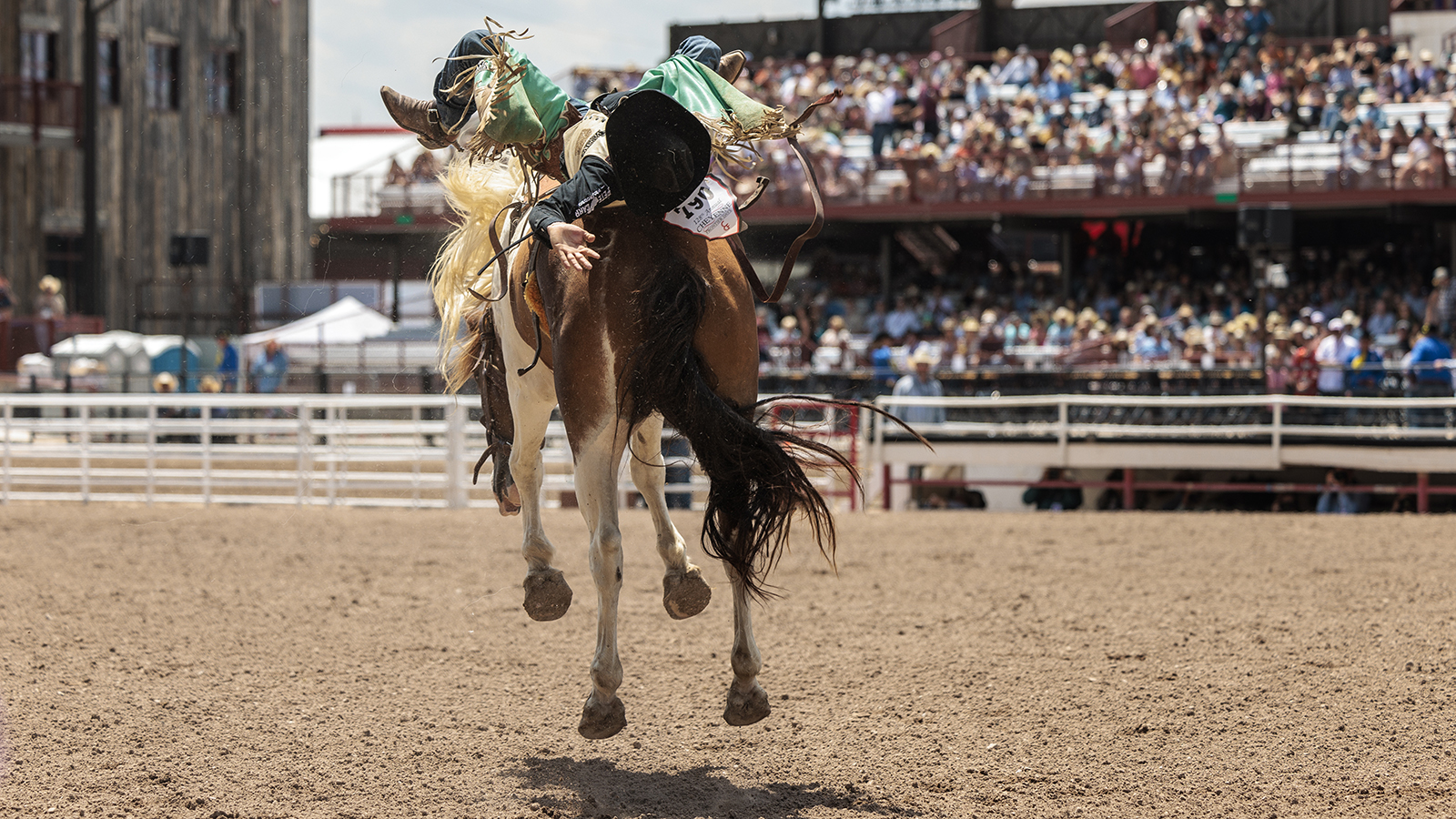 The Rodeo: Bareback Riding