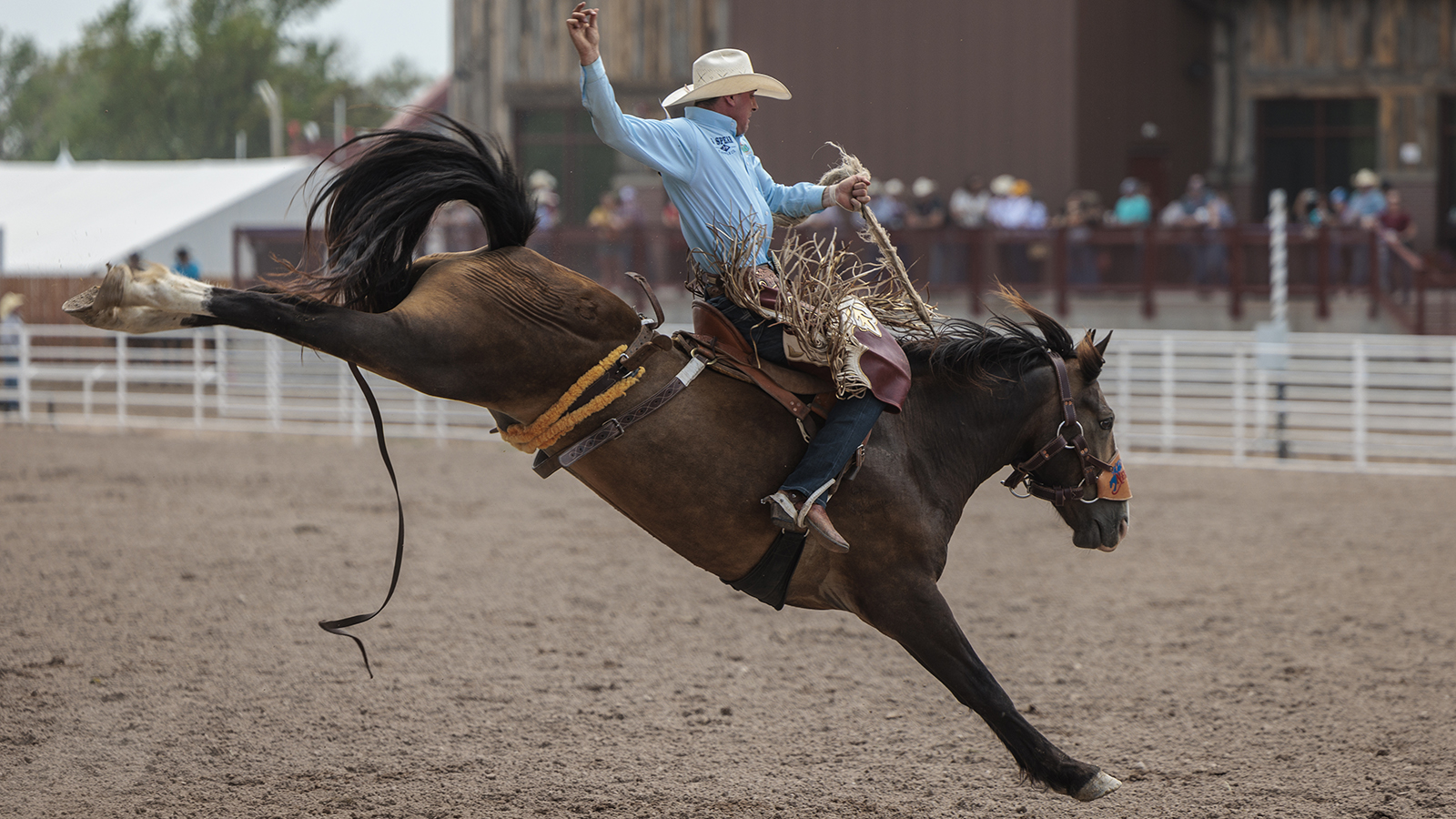 The Rodeo: Saddle Bronc Riding