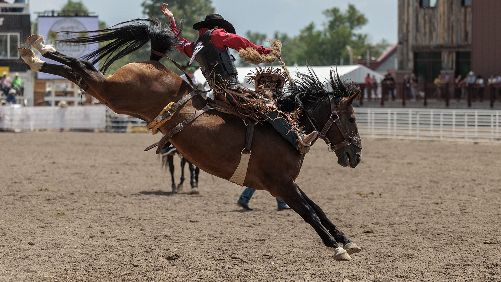 The Rodeo: Saddle Bronc Riding