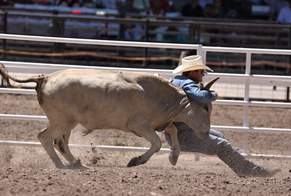 The Rodeo: Steer Wrestling