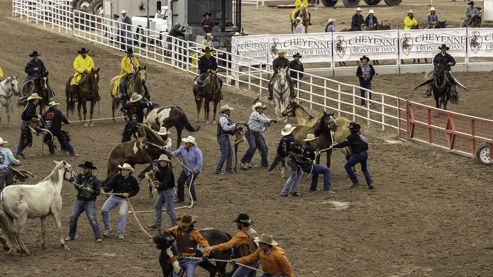 The Rodeo: Wild Horse Race