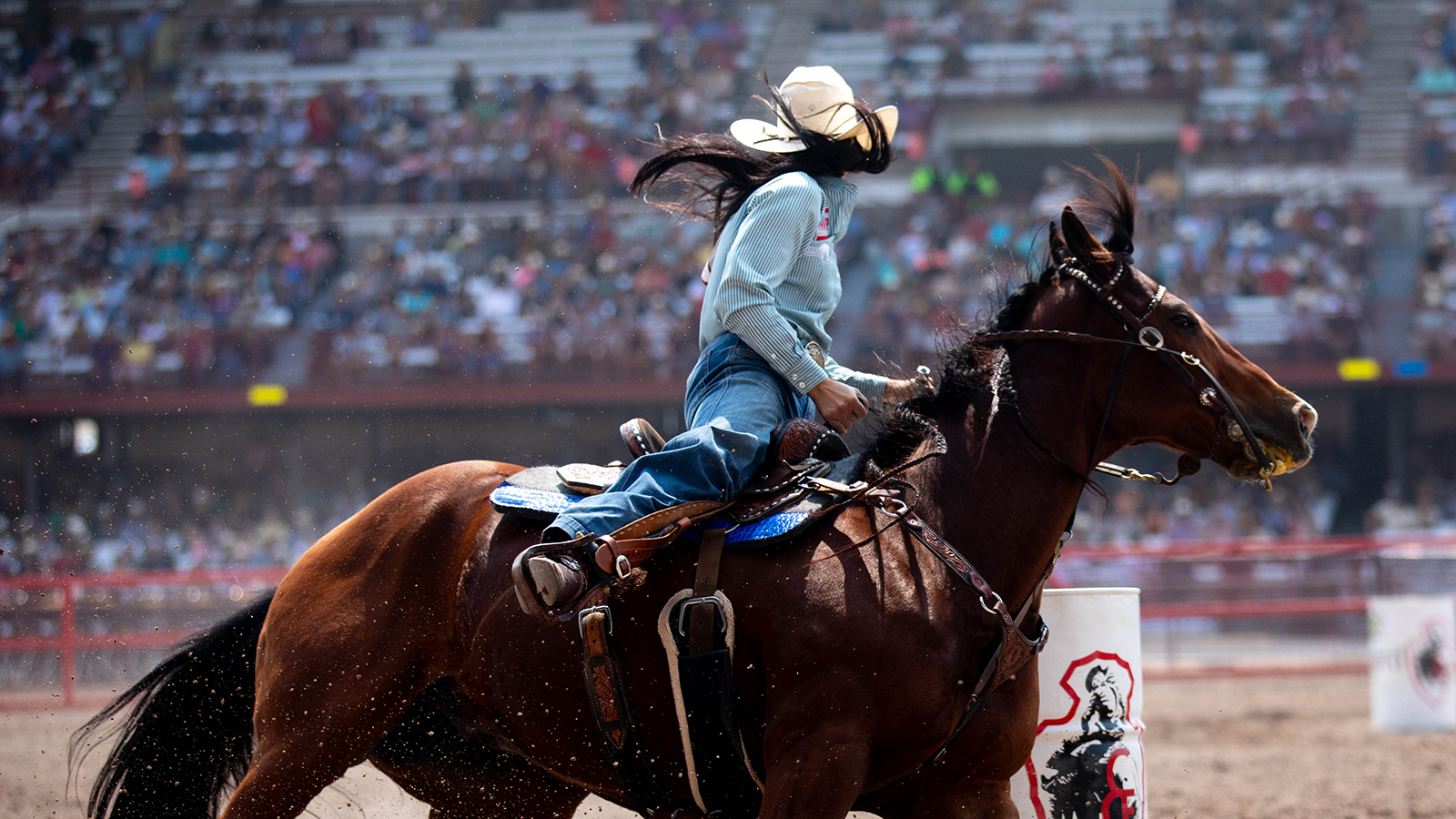 The Rodeo: Women’s Barrel Racing