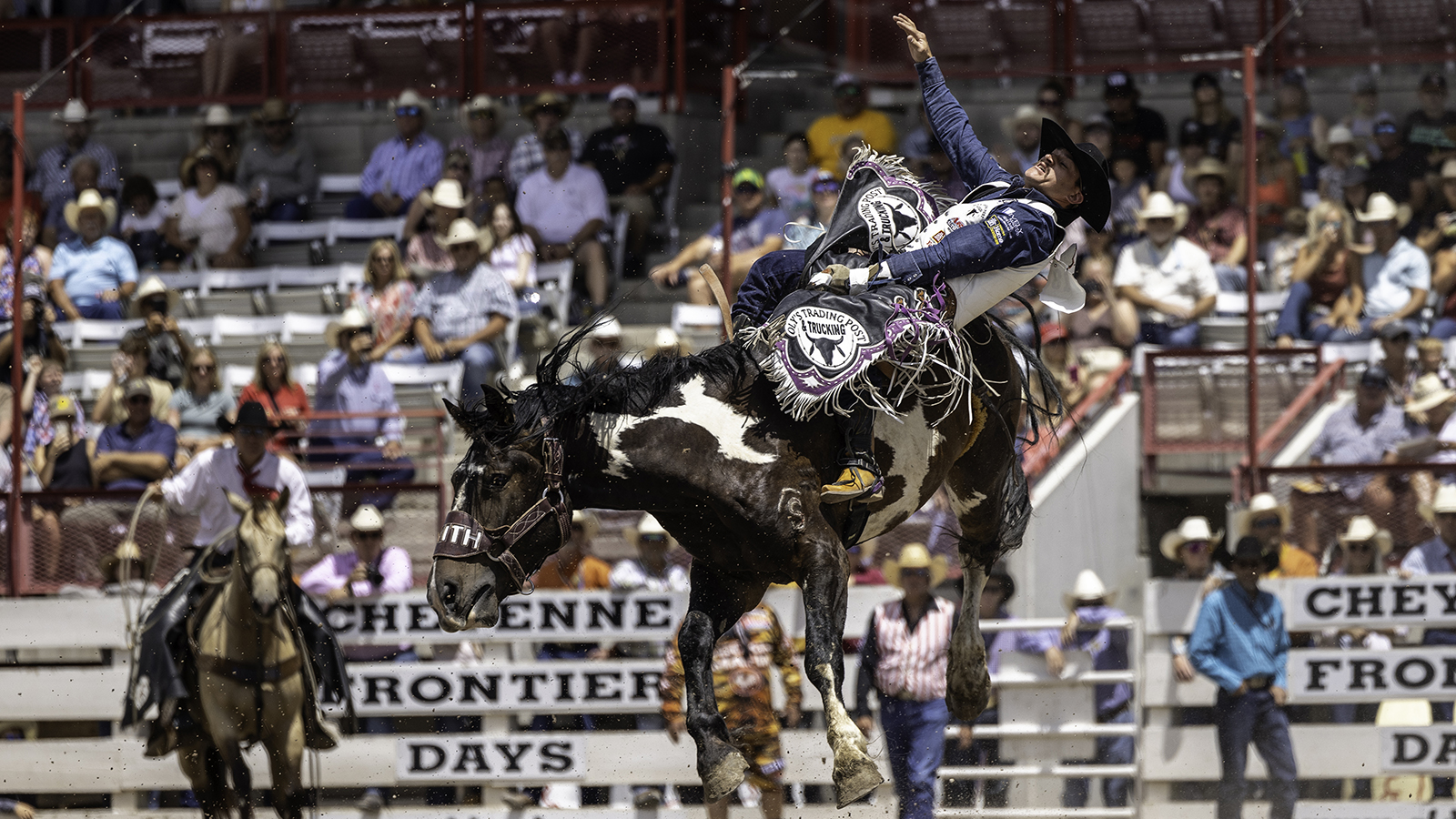 The Rodeo: Bareback Riding