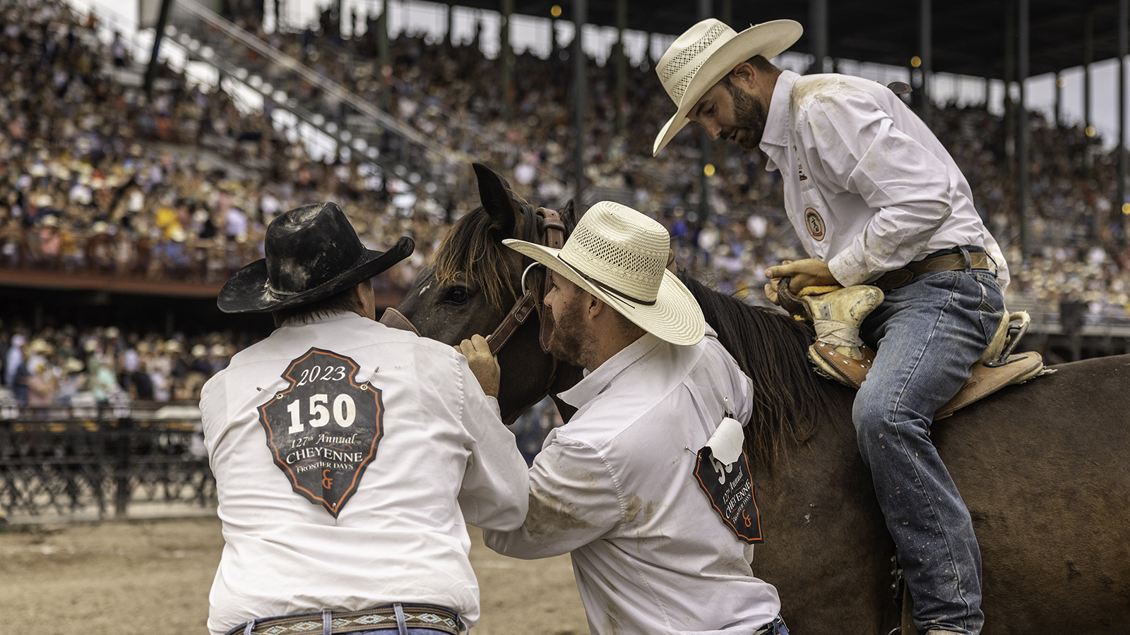 The Rodeo: Wild Horse Race