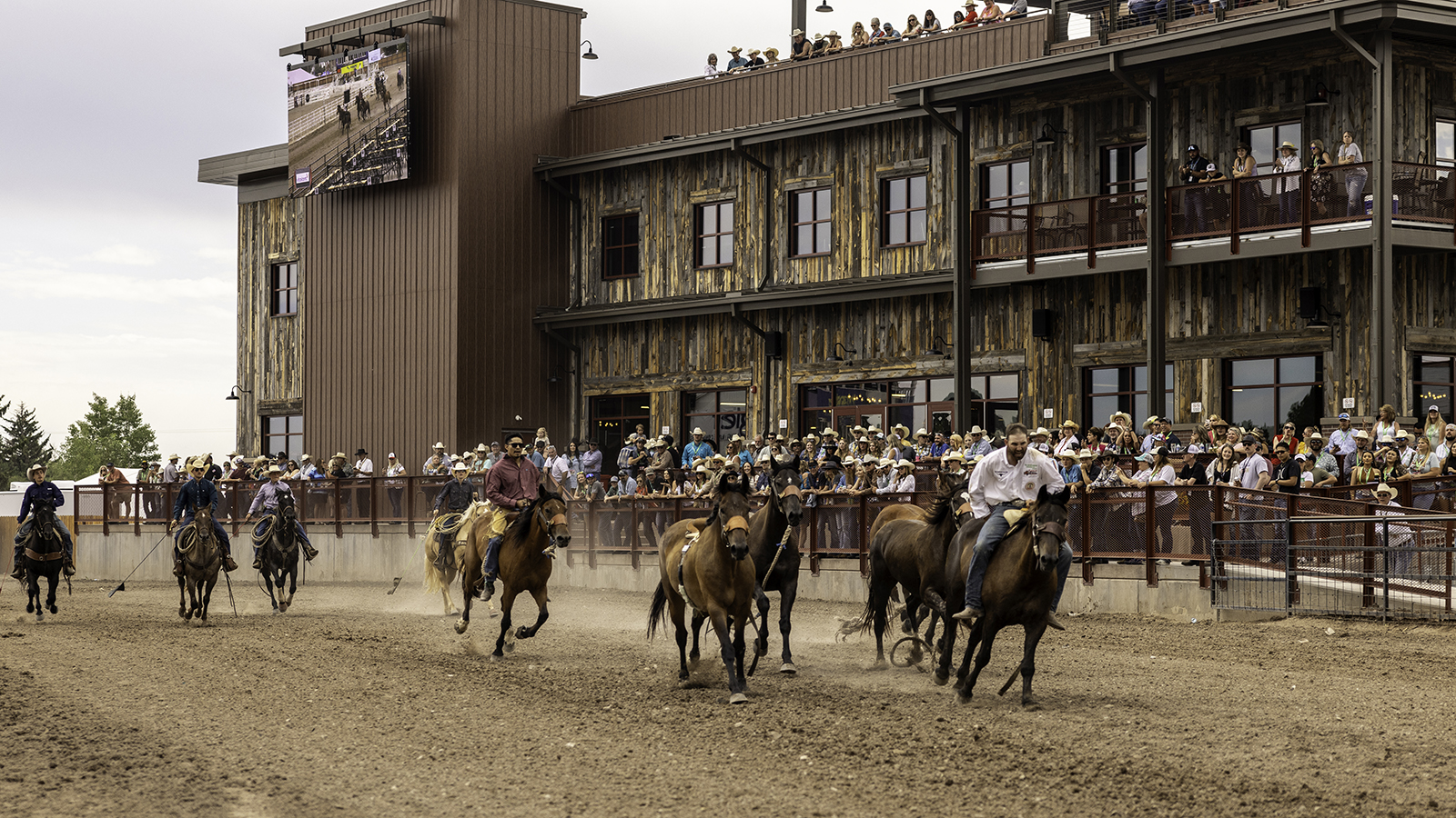 The Rodeo: Wild Horse Race