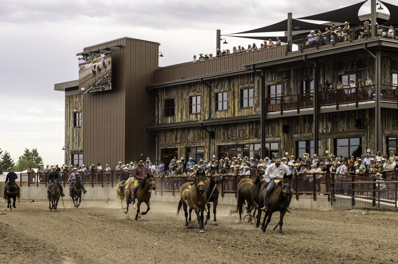 The Rodeo: Wild Horse Race