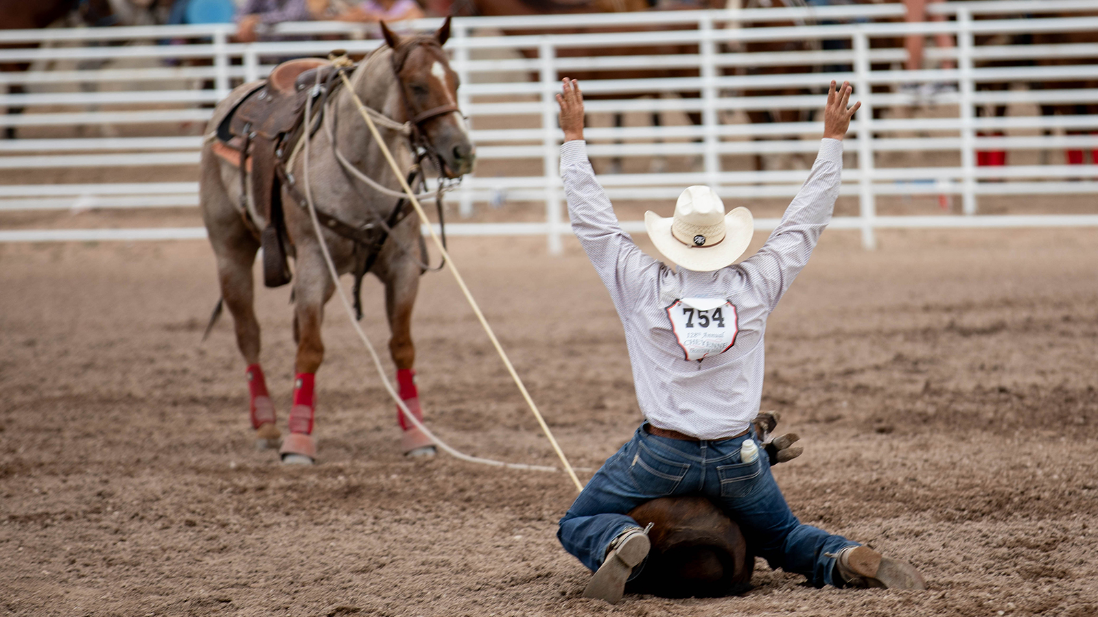 The Rodeo: Tie Down Roping - Cheyenne Frontier Days