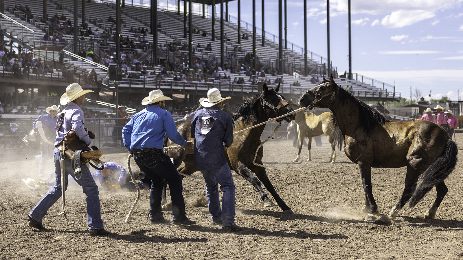 The Rodeo: Wild Horse Race