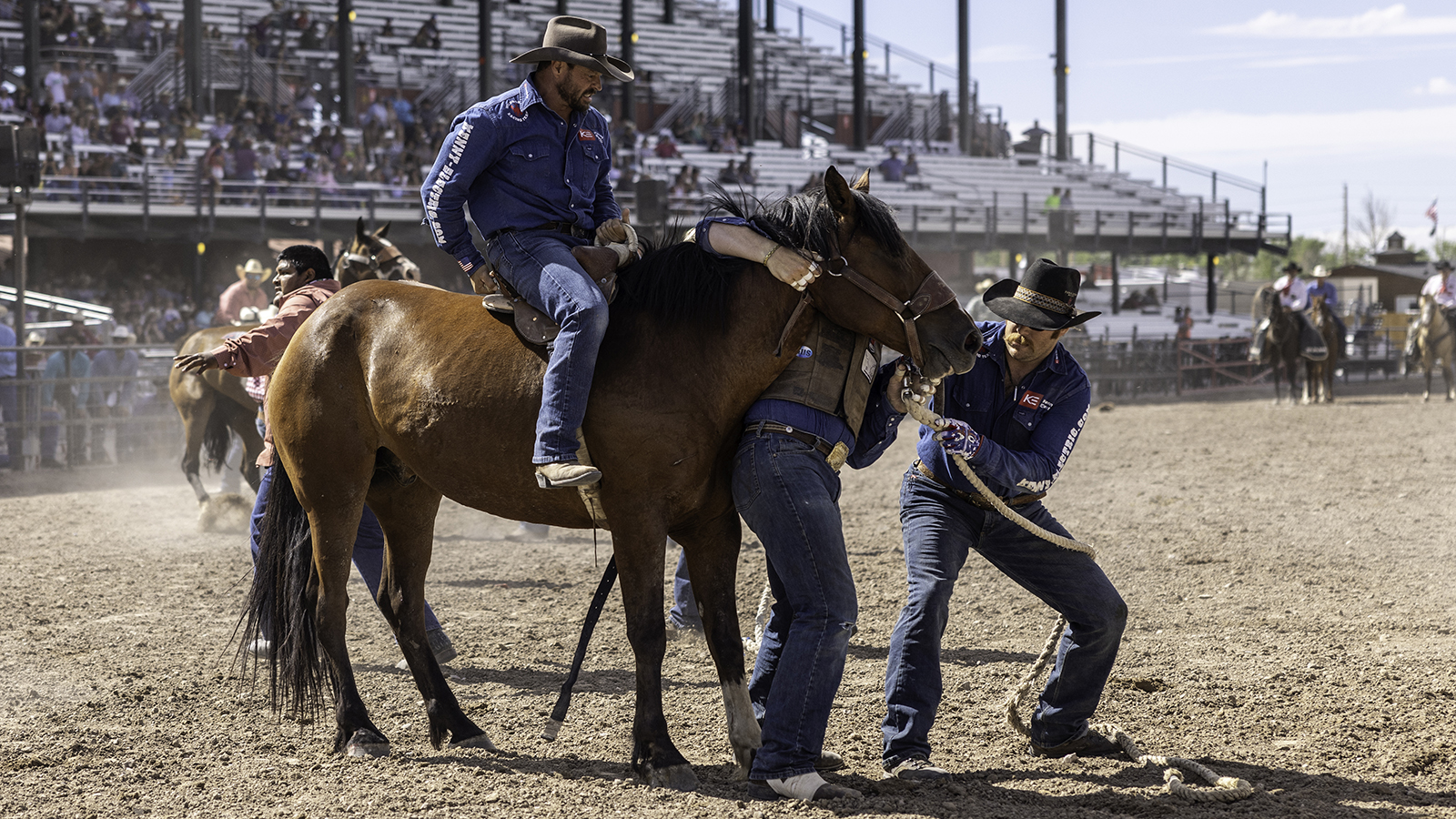 The Rodeo: Wild Horse Race