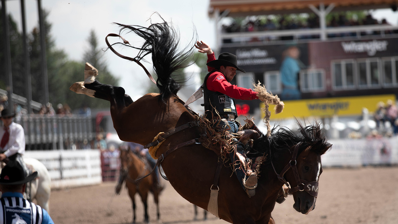 The Rodeo: Saddle Bronc Riding