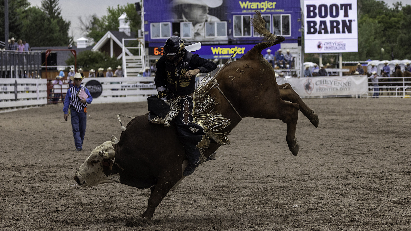 The Rodeo: Bull Riding - Cheyenne Frontier Days