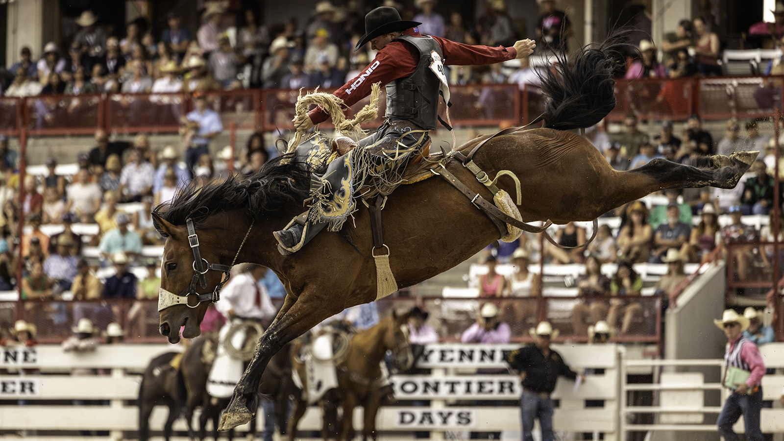 The Rodeo: Saddle Bronc Riding