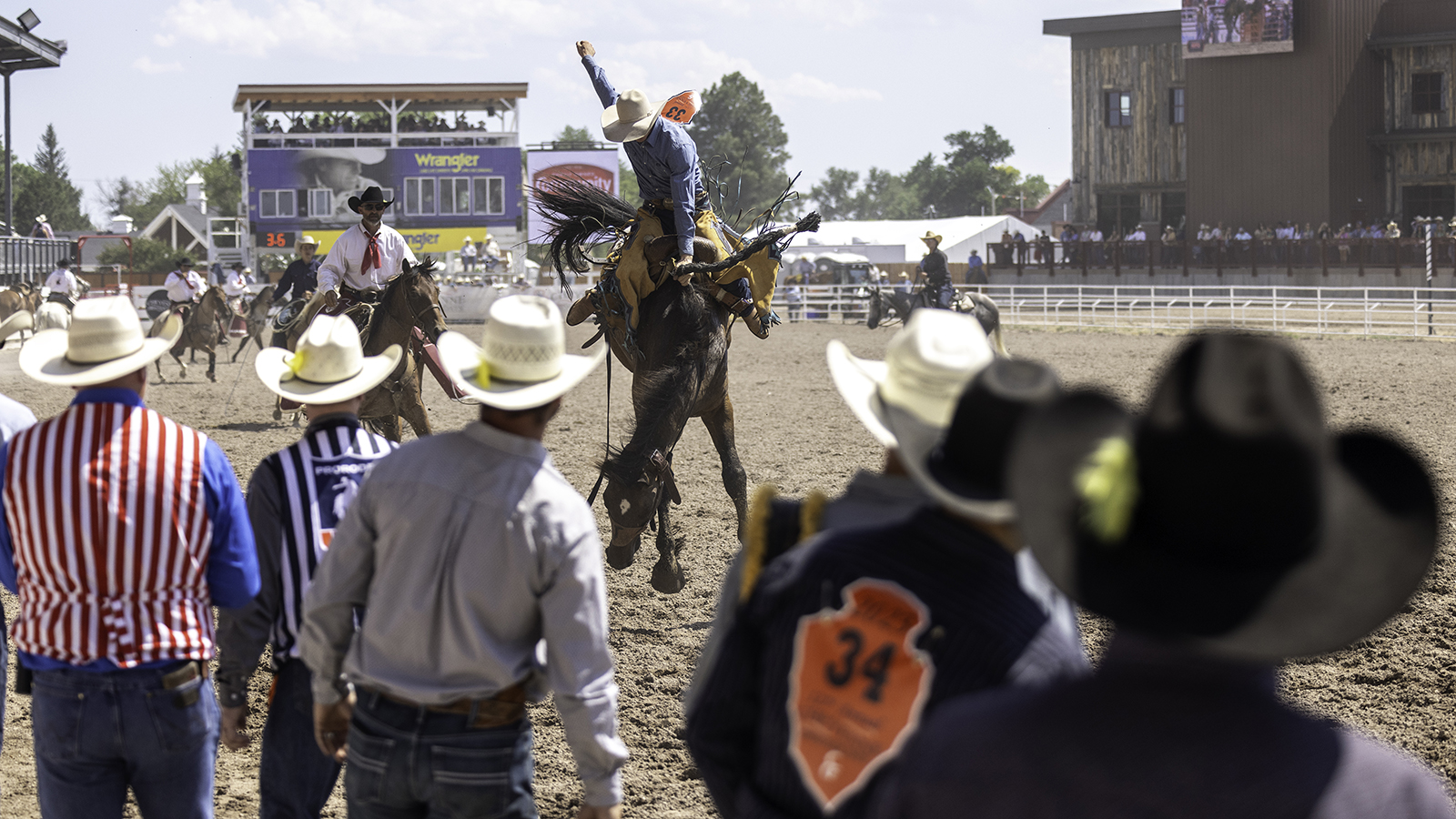 The Rodeo: Saddle Bronc Riding