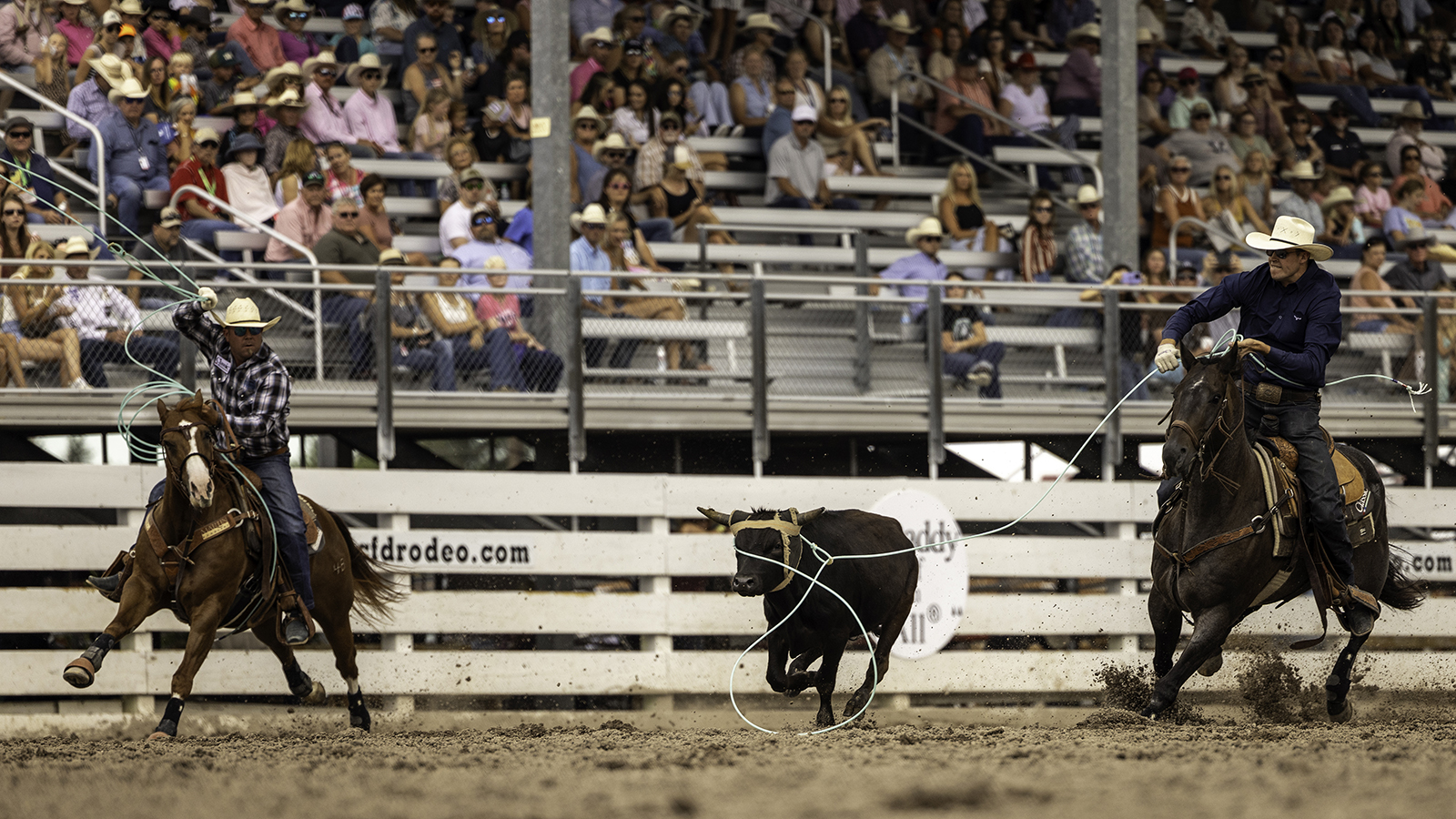 The Rodeo: Team Roping