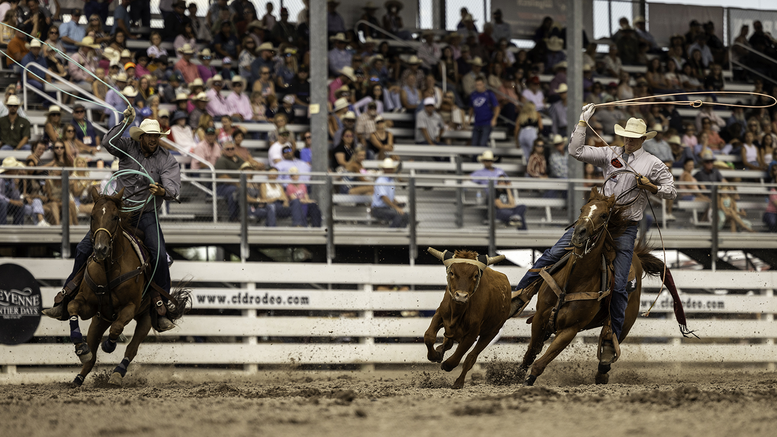 The Rodeo: Team Roping