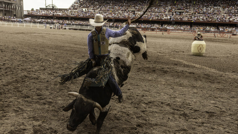 Gaining popularity in the nineteenth century, Bull Riding started as a competition among cowboys to determine who was the toughest rider.