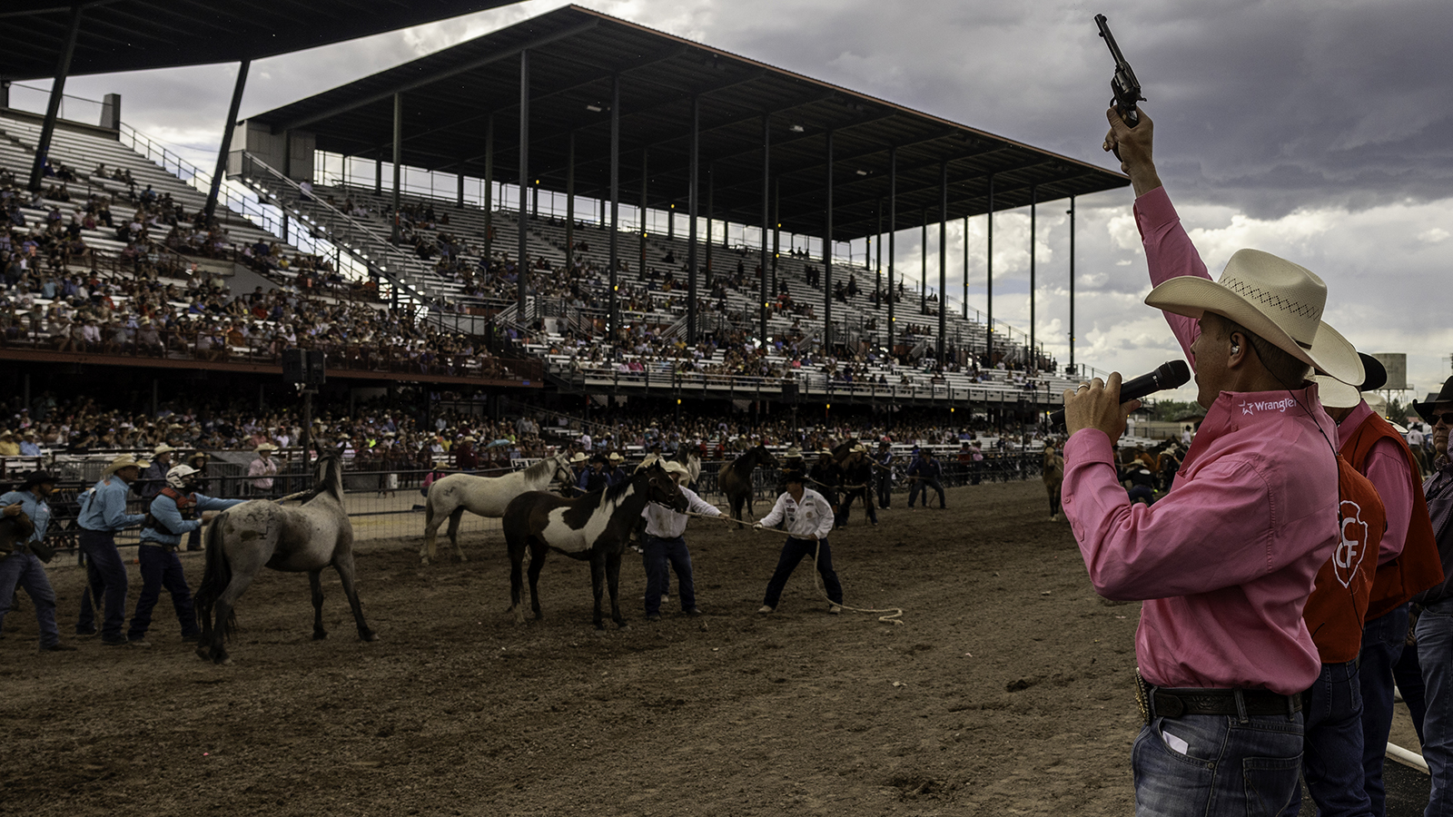 The Rodeo: Wild Horse Race