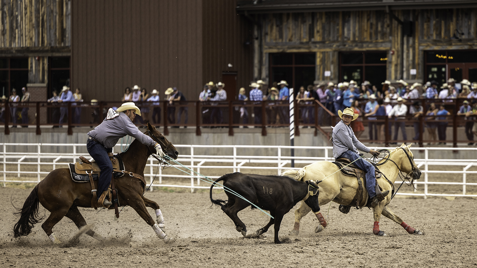 The Rodeo: Team Roping