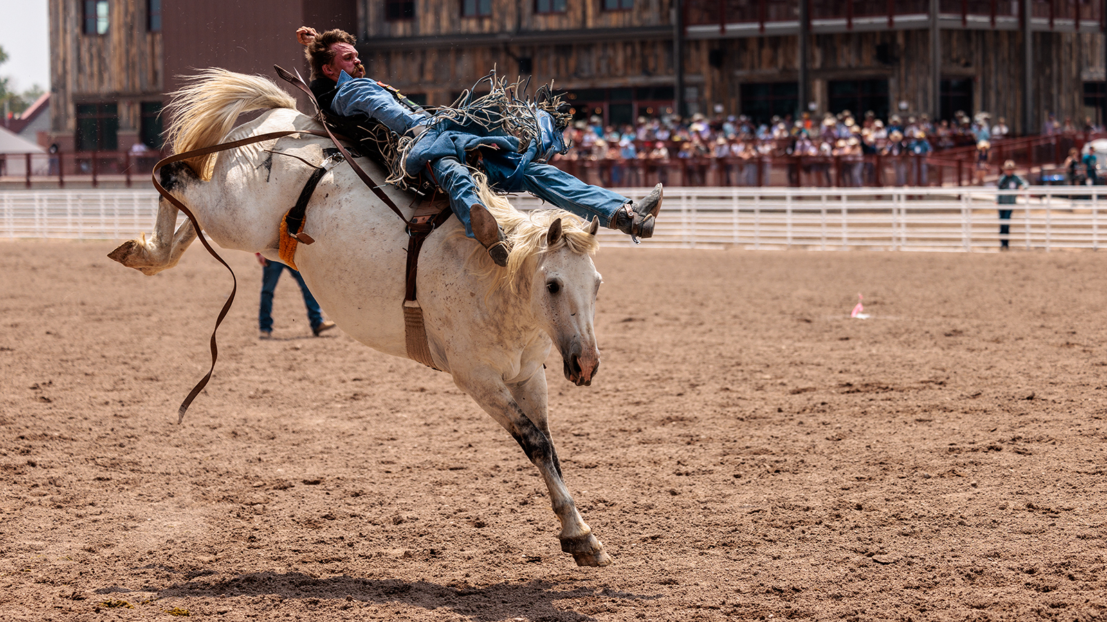 The Rodeo: Bareback Riding