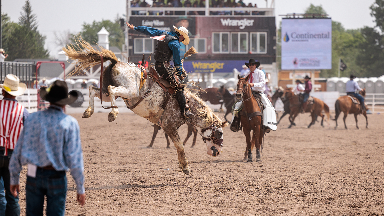 The Rodeo: Saddle Bronc Riding