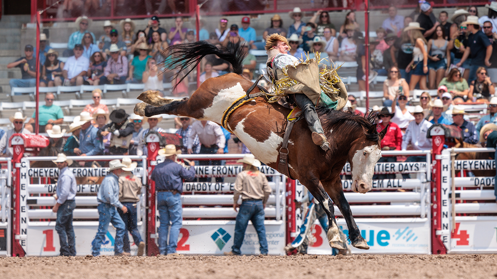 The Rodeo: Bareback Riding