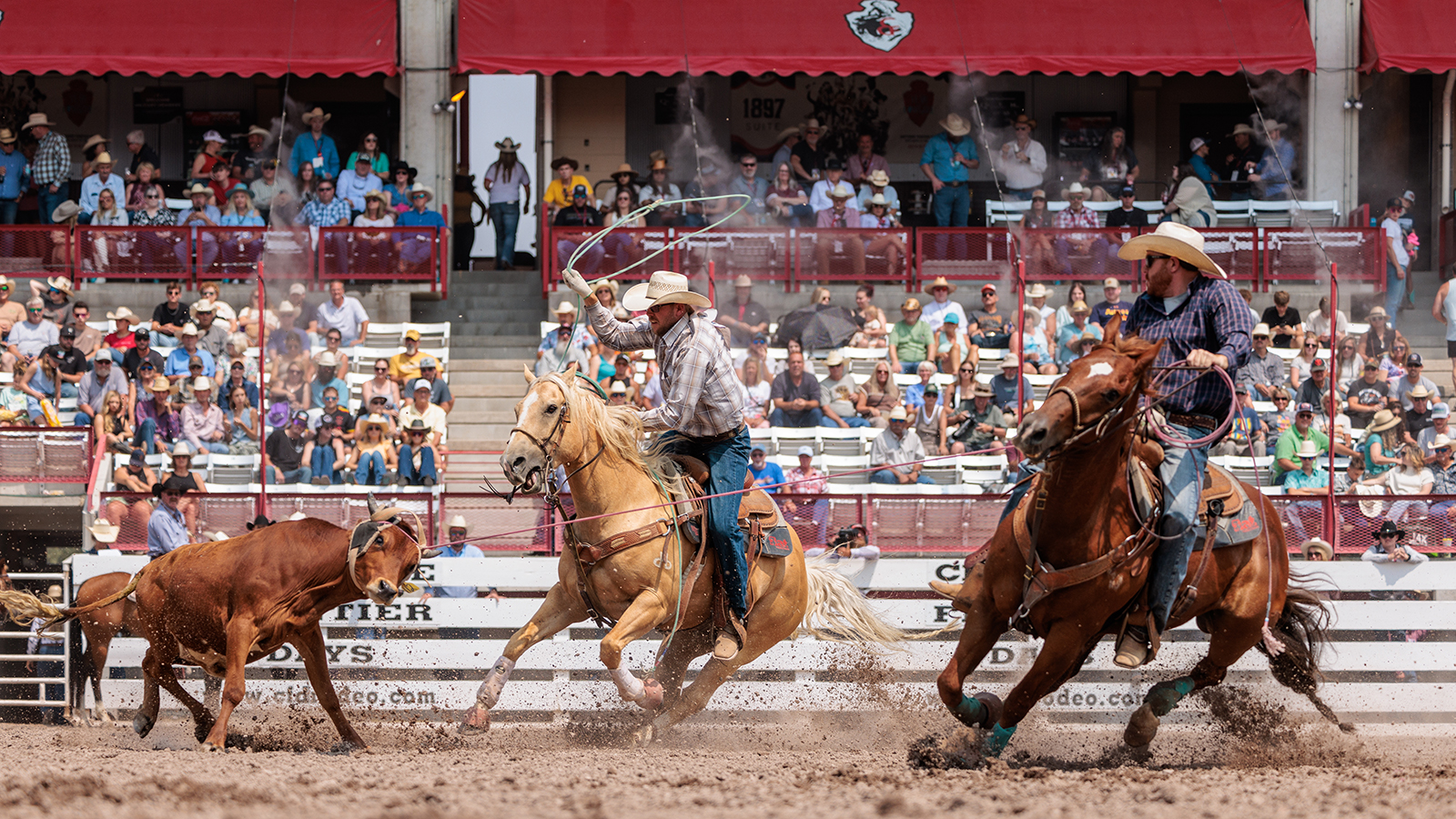 The Rodeo: Team Roping