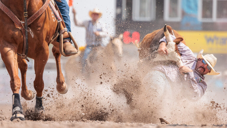 Steer wrestling or Bulldogging is an event where men try to wrestle a 600 pound steer to the ground.