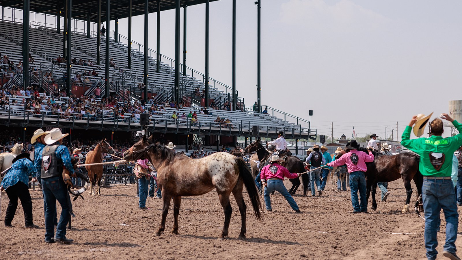 The Rodeo: Wild Horse Race