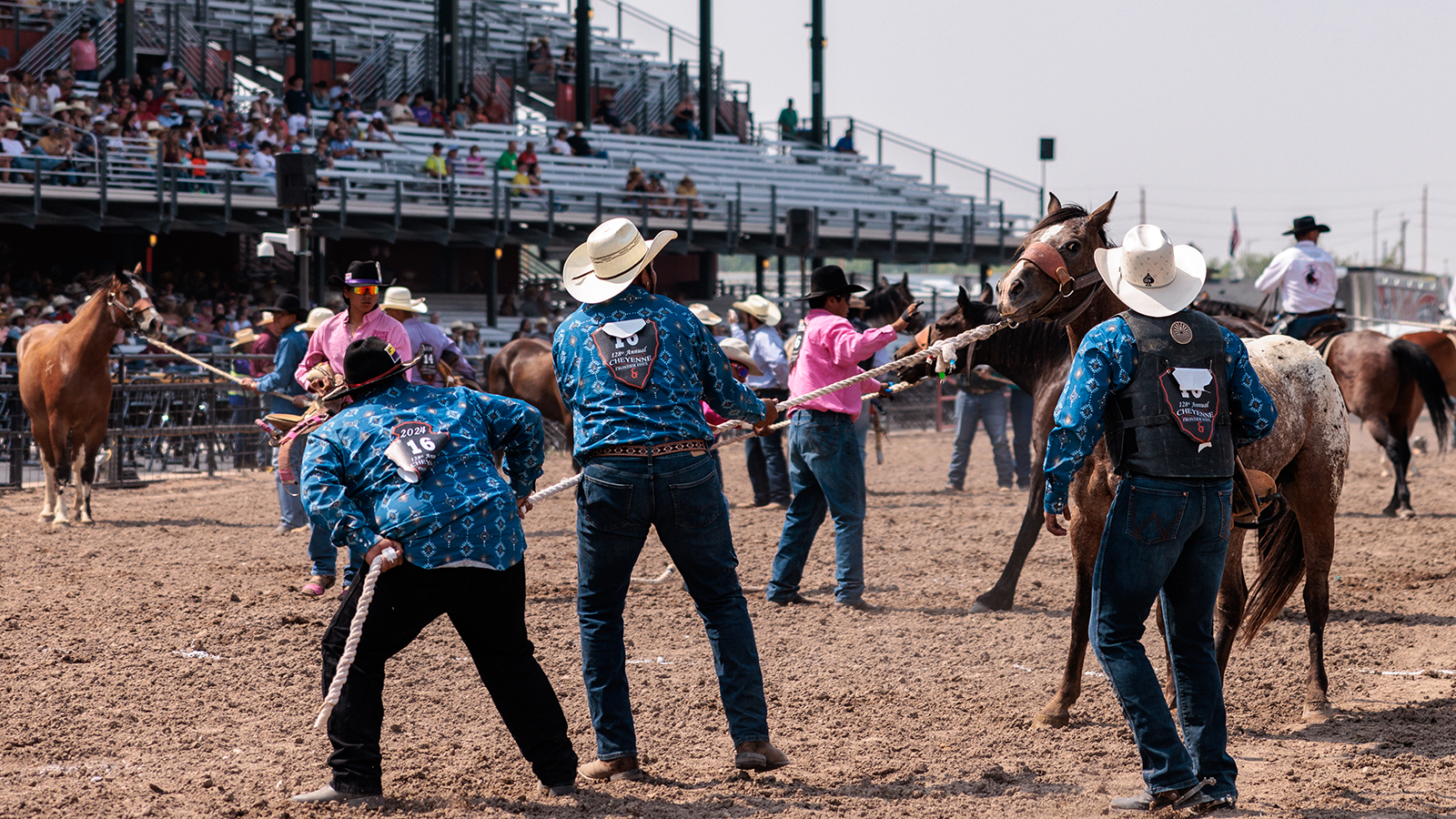 The Rodeo: Wild Horse Race