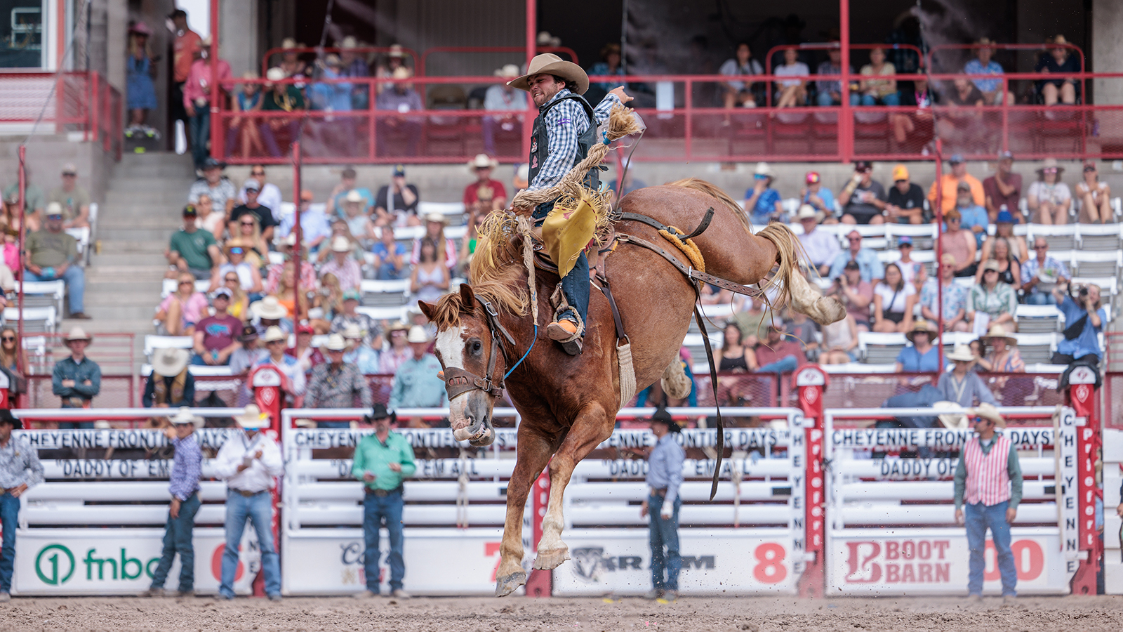 The Rodeo: Saddle Bronc Riding