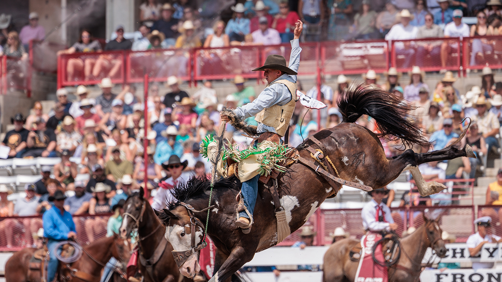 The Rodeo: Saddle Bronc Riding