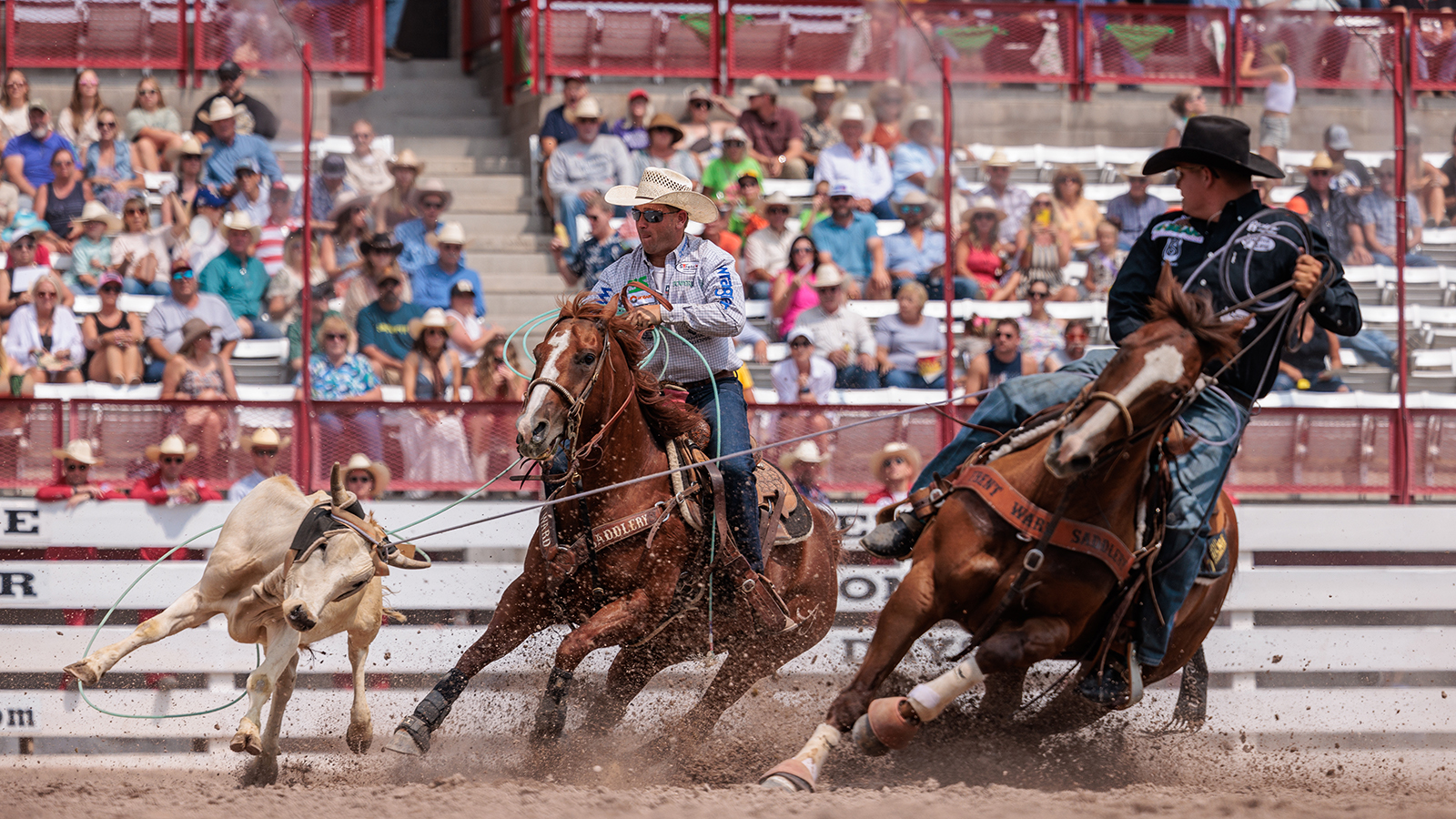 The Rodeo: Team Roping