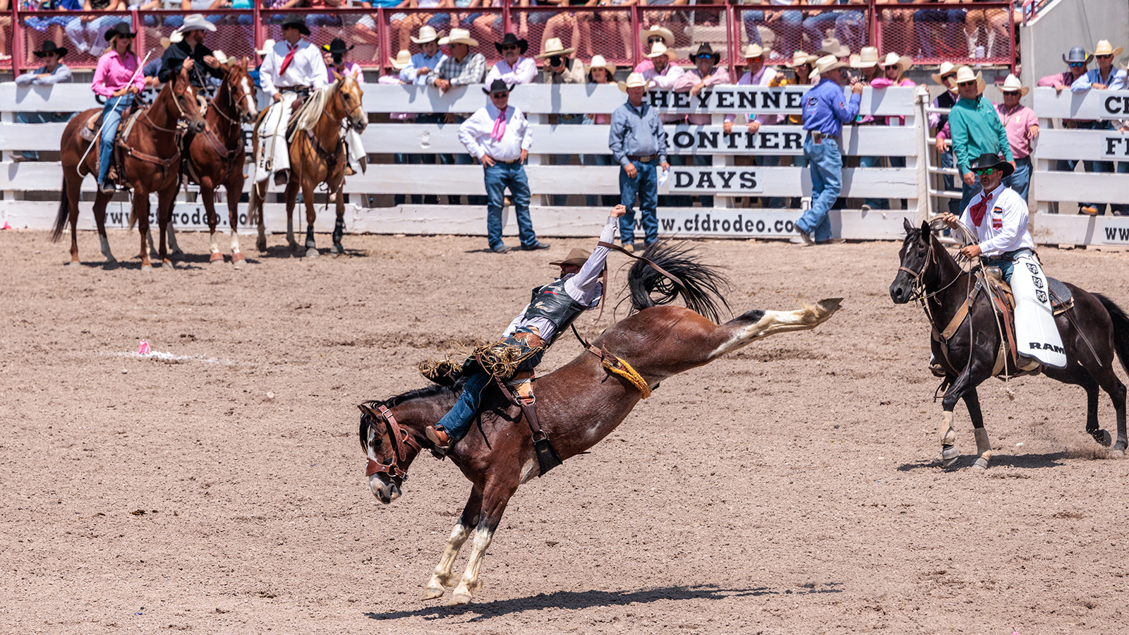 The Rodeo: Bareback Riding