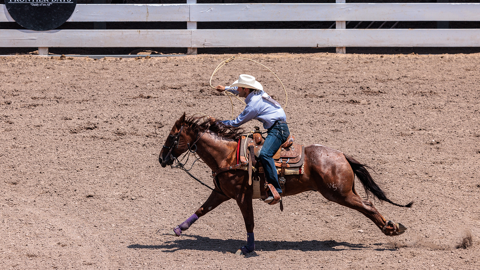 The Rodeo: Tie Down Roping