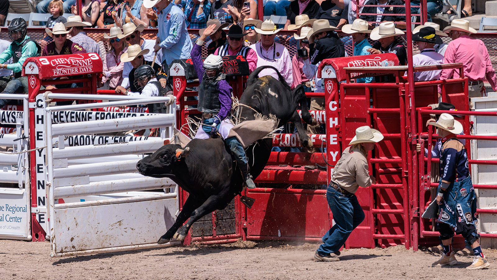 The Rodeo: Bull Riding - Cheyenne Frontier Days