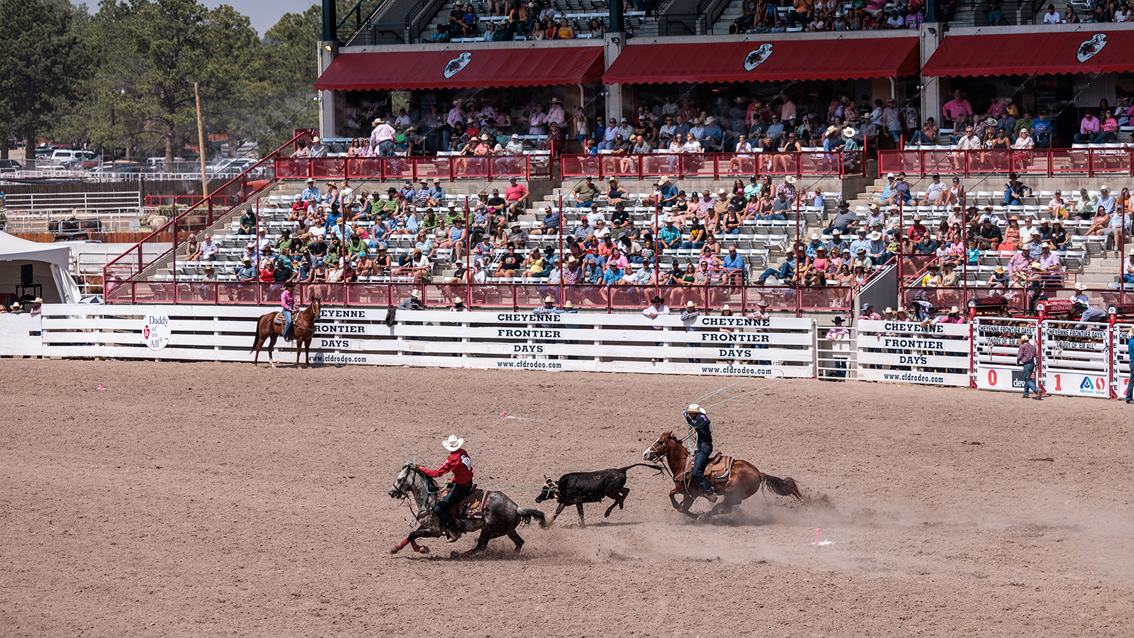 The Rodeo: Team Roping