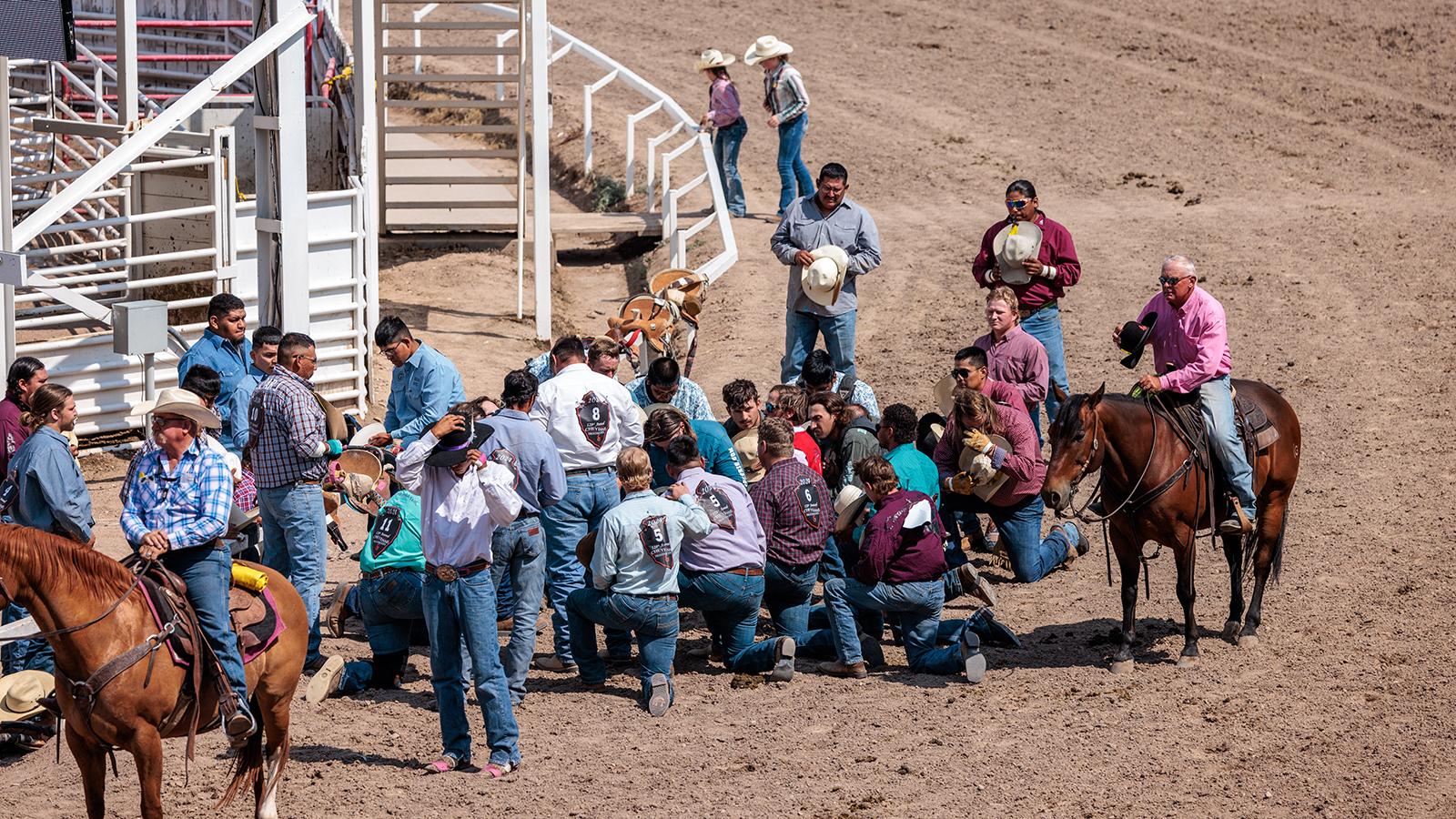 The Rodeo: Wild Horse Race