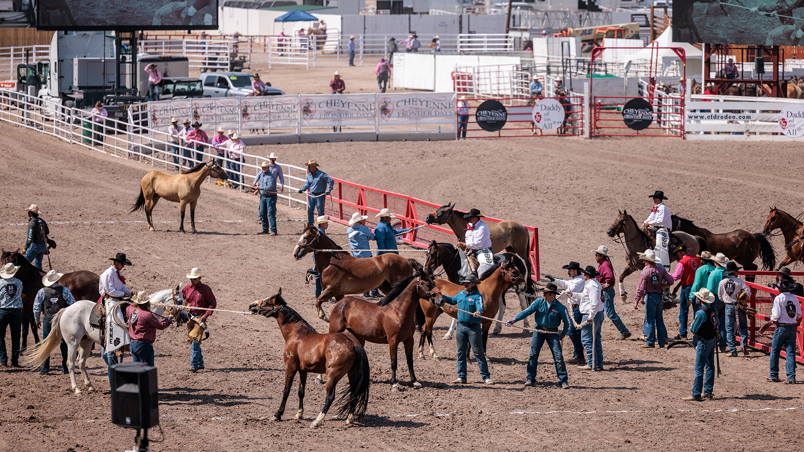 The Rodeo: Wild Horse Race